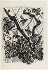 PABLO PICASSO Histoire Naturelle: Eaux-Fortes Originales pour des Textes de Buffon.